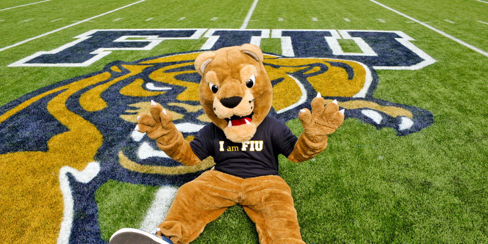 DOES FIU GIVE SCHOLARSHIPS TO INTERNATIONAL STUDENTS visual data 8